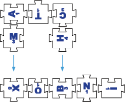 Ring Complete Bonus example
